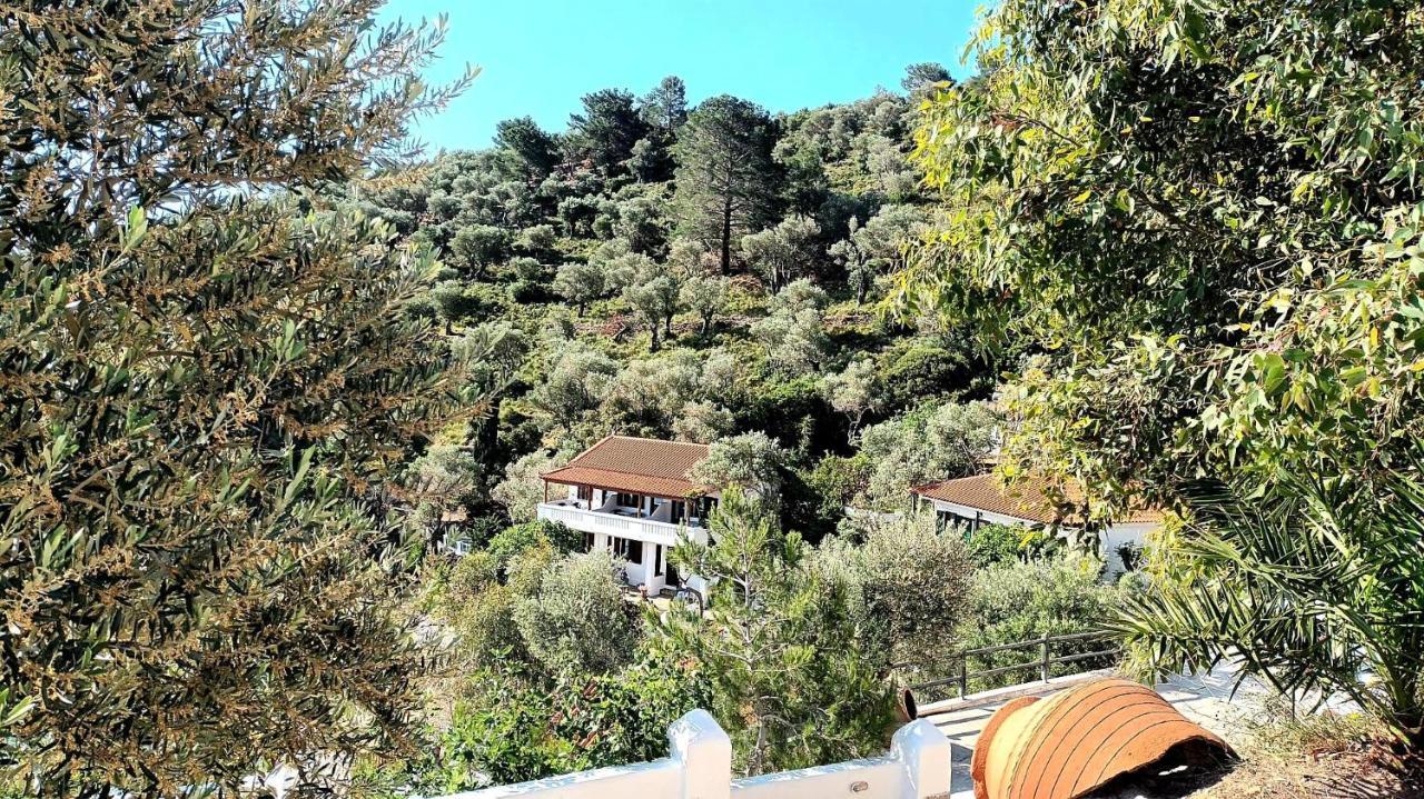 Studios Limnionas Μαραθόκαμπος Εξωτερικό φωτογραφία